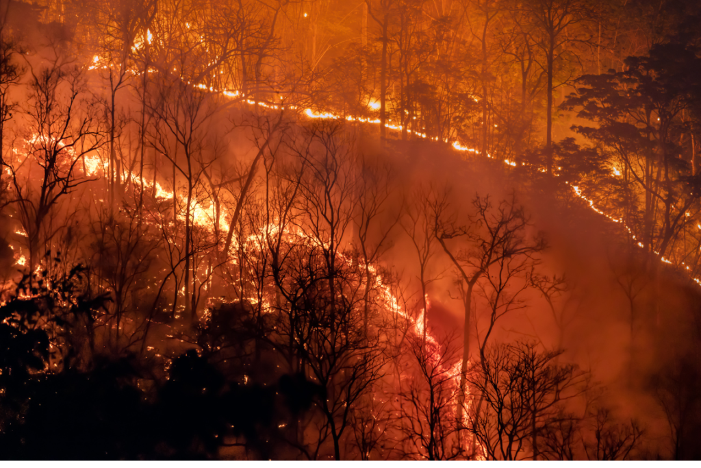 Seminário discute Mudanças Climáticas e Direitos Humanos, em João Pessoa